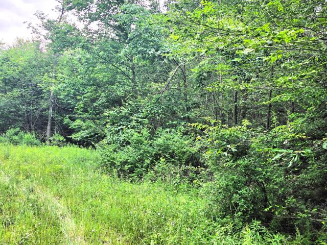 Land for sale in Sullivan, Pennsylvania