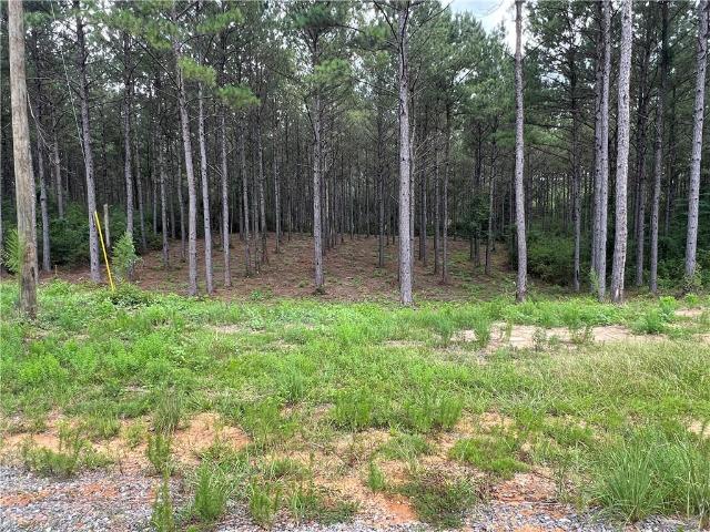 Land for sale in Franklinton, Louisiana