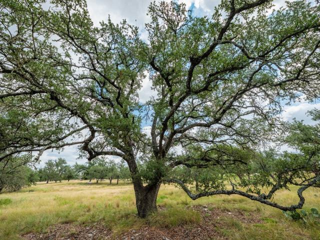 Land for sale in Doss, Texas
