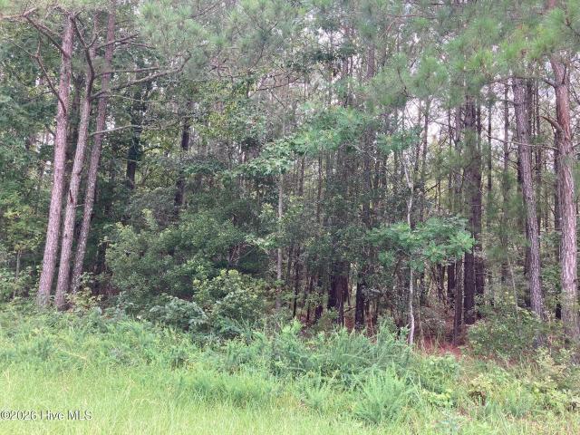 Land for sale in Bath, North Carolina
