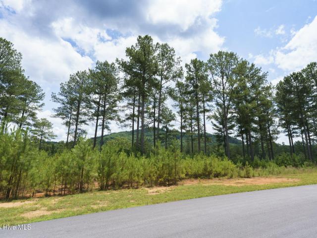 Land for sale in Blairsville, Georgia