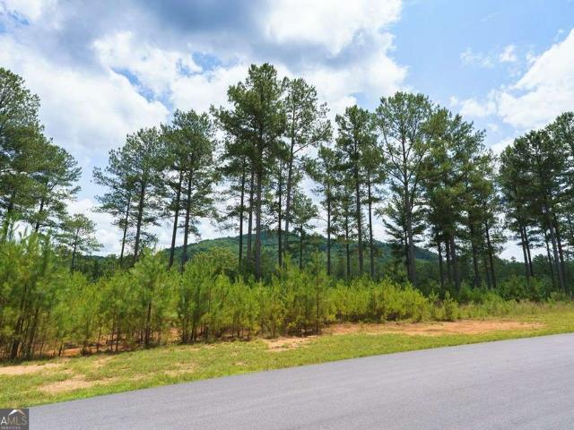 Land for sale in Blairsville, Georgia