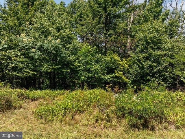 Land for sale in Hardy, West Virginia