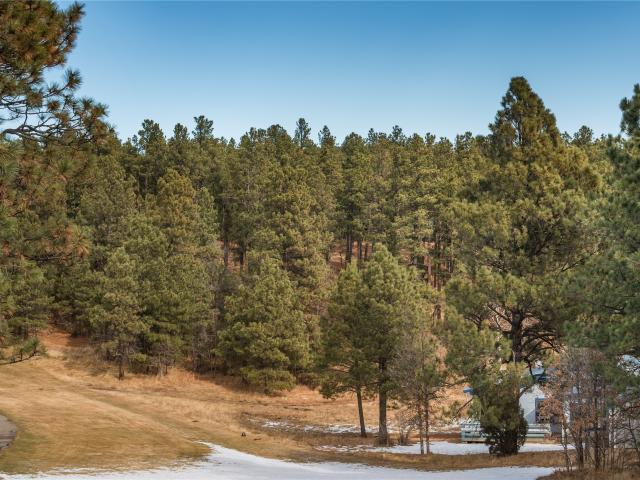Land for sale in New Mexico
