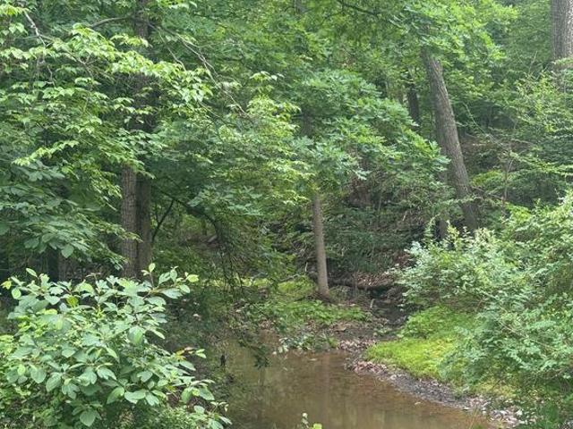 Land for sale in Hedgesville, Berkeley County