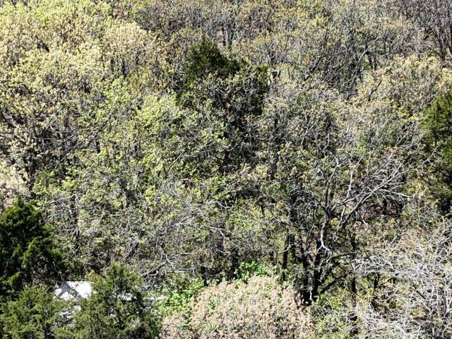Land for sale in Barry, Missouri
