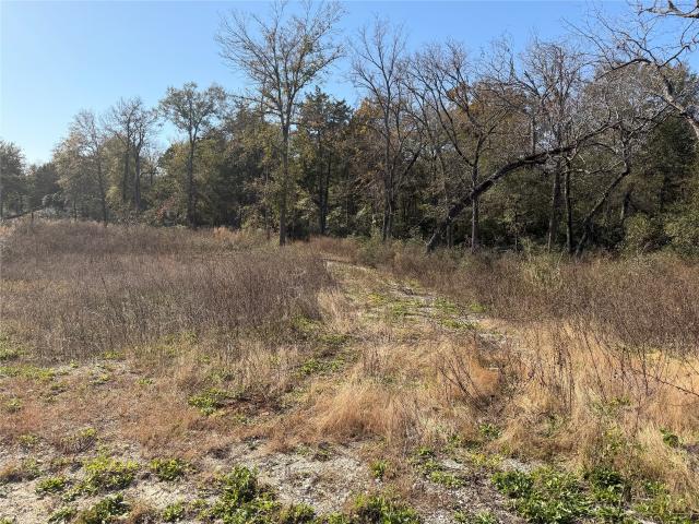 Land for sale in Leon, Texas