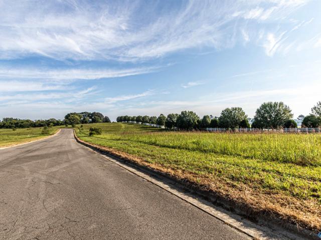 Land for sale in Albertville Land for sale in Albertville