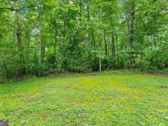 Land for sale in Demorest, Georgia