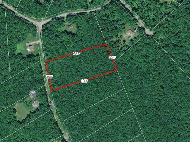 Land for sale in Callicoon, New York