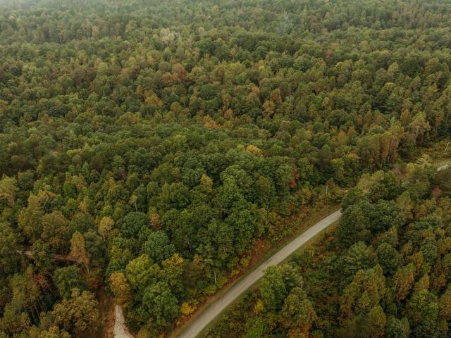 Land for sale in Wolfe, Kentucky