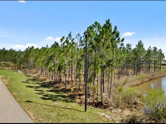 Land for sale in Lumberton, Mississippi