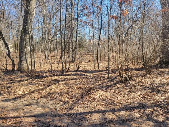 Land for sale in Clare, Michigan