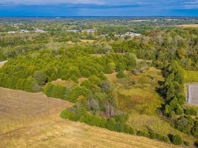 Land for sale in Quitman, Cleburne County