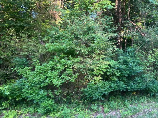 Land for sale in Ark
