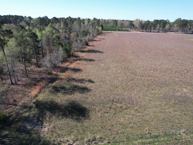 Land for sale in South Carolina
