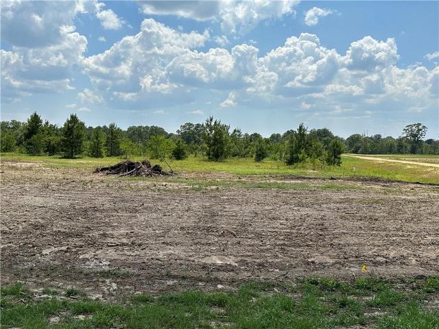 Land for sale in Franklinton, Louisiana
