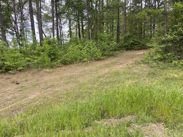 Land for sale in Sabine, Texas