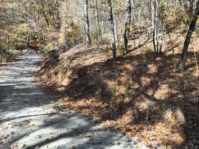 Land for sale in Clermont, Georgia