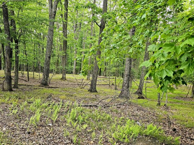 Land for sale in Beach Lake, Pennsylvania