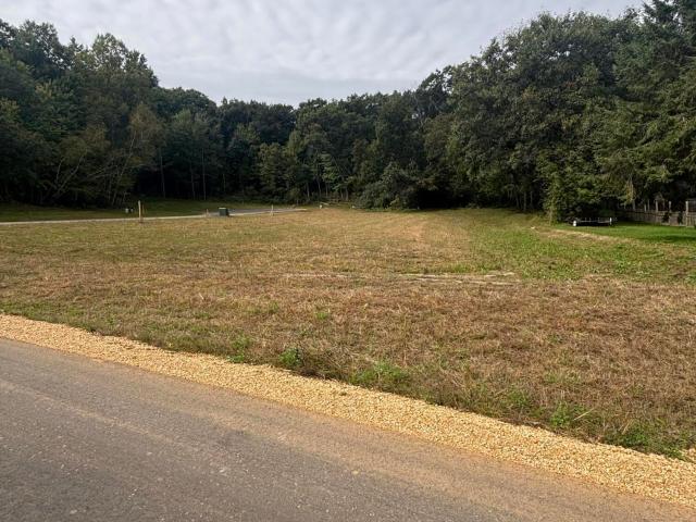 Land for sale in Sparta, Monroe County