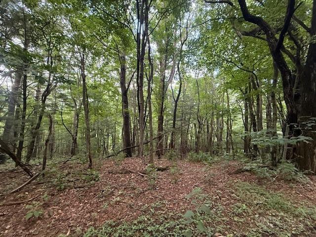 Land for sale in West Jefferson, North Carolina