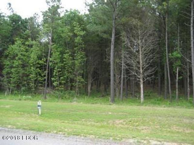 Land for sale in Goreville, Illinois