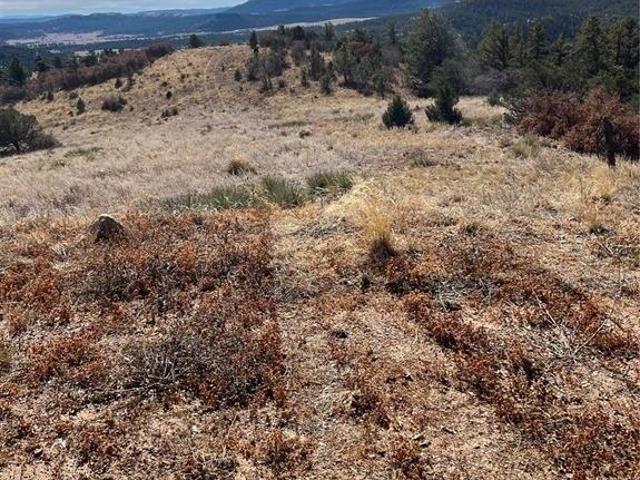 Land for sale in Canon City