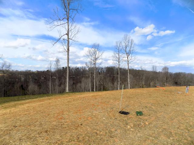 Land for sale in Tennessee