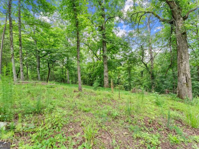 Land for sale in Demorest, Georgia