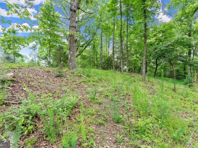 Land for sale in Demorest, Georgia
