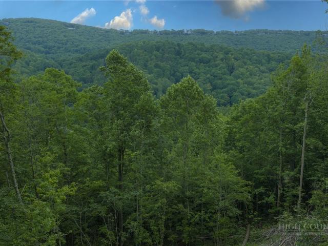 Land for sale in Avery, North Carolina
