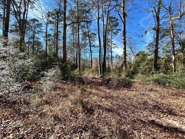 Land for sale in Ivanhoe, Texas