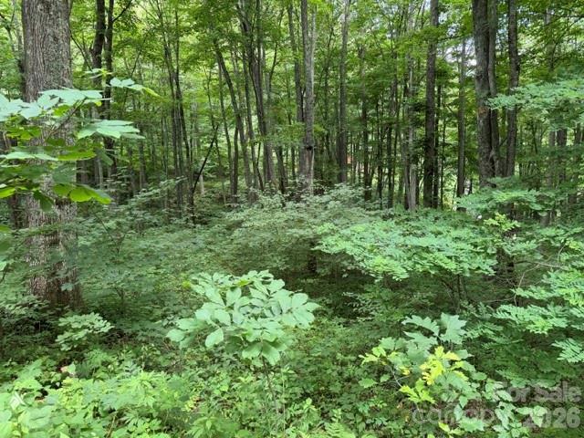Land for sale in Haywood, North Carolina