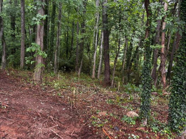 Land for sale in Dalton, Georgia