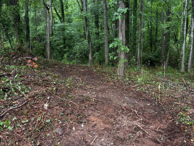 Land for sale in Dalton, Georgia