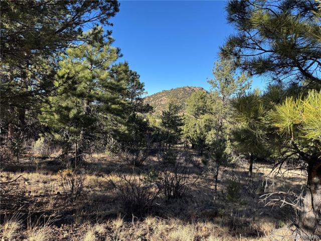 Land for sale in Custer, Colorado