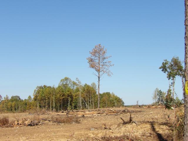 Land for sale in East Tennessee, Tennessee