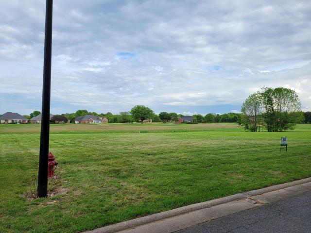 Land for sale in Ledbetter, Livingston County