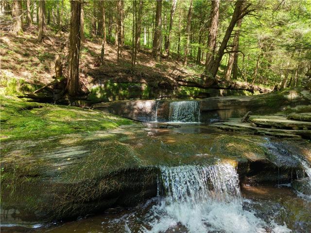 Land for sale in Town of Delhi, Delaware County