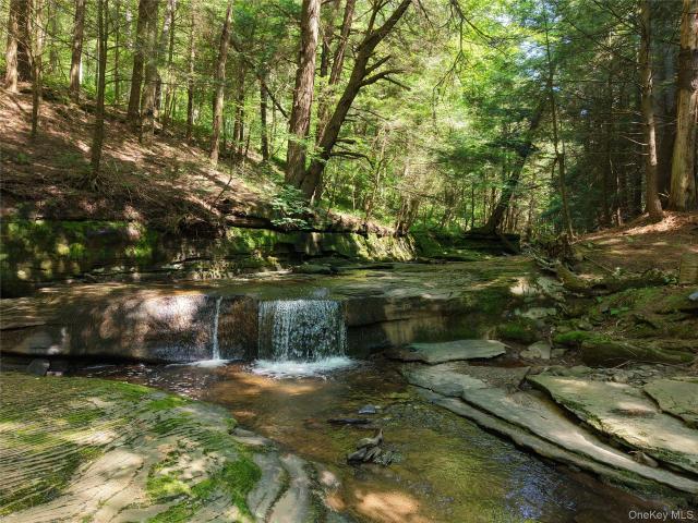 Land for sale in New York
