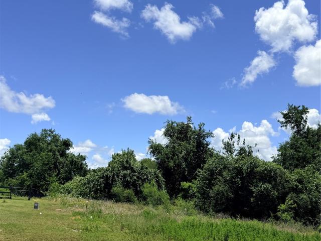Land for sale in Chappell Hill, Texas