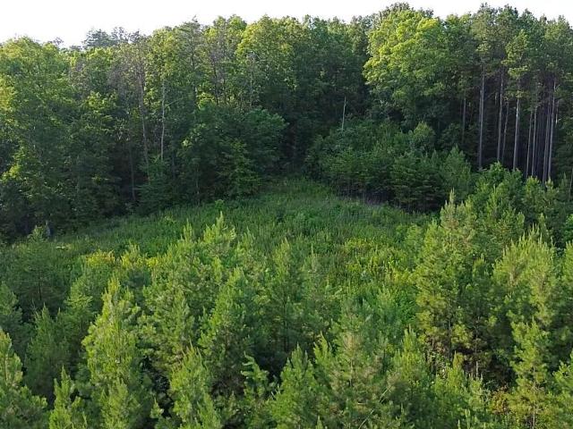 Land for sale in Tennessee