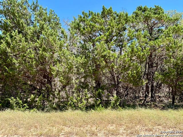 Land for sale in Bandera