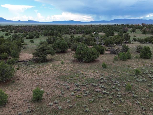 Land for sale in Catron, New Mexico
