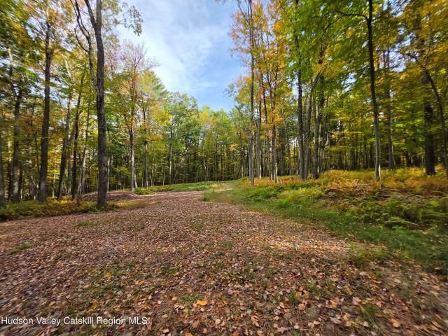 Land for sale in Town of Tusten, Sullivan County