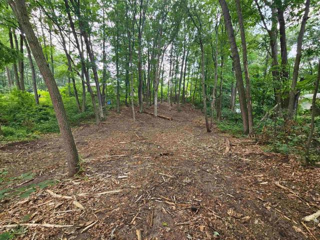 Land for sale in Clare, Michigan