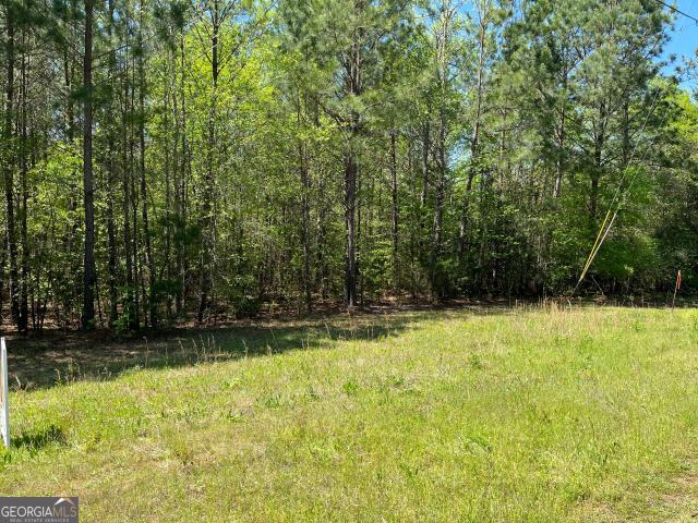 Land for sale in Elbert, Georgia