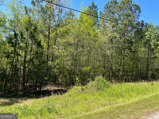 Land for sale in Elbert, Georgia