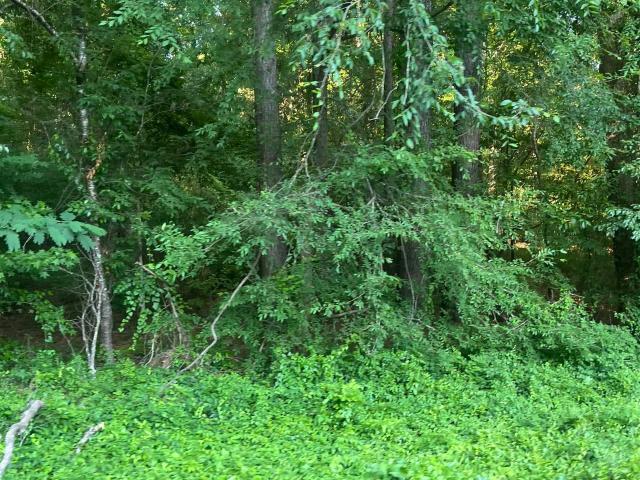 Land for sale in Ark